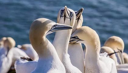 开云kaiyun-朱婷助球队拿下关键战女排世界杯，朱婷女排吧 朱婷个站