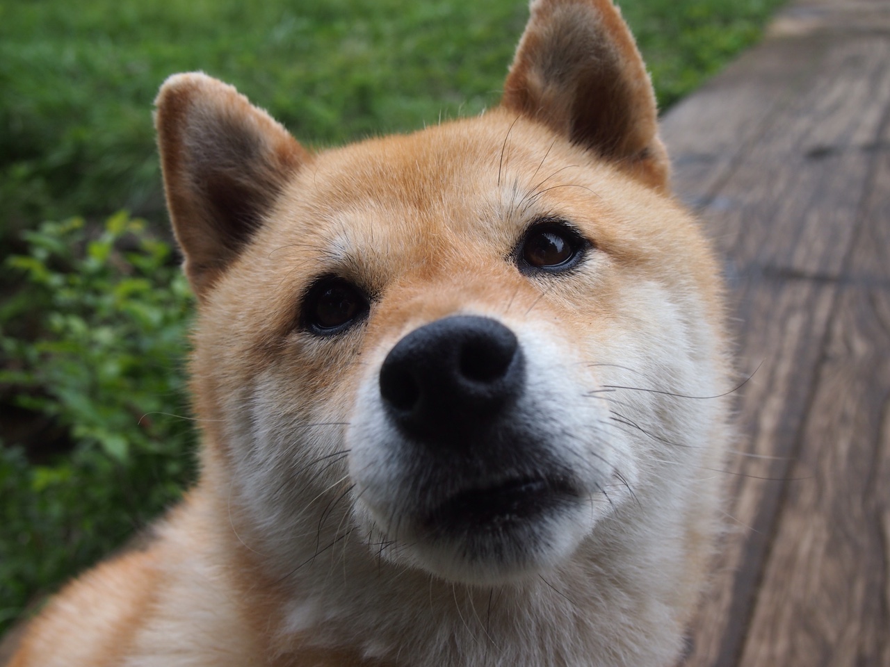 CS2 全球总决赛即将开战,csgo2020全球总决赛